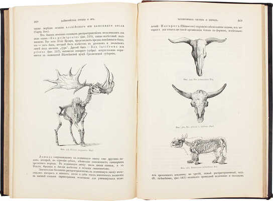 Иностранцев А.А. Геология. Общий курс лекций, читанный студентам С.-Петербургского университета. Т. 1-2. СПб., 1887-1889.